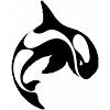 orca